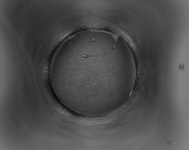 X0000102010017200807181239