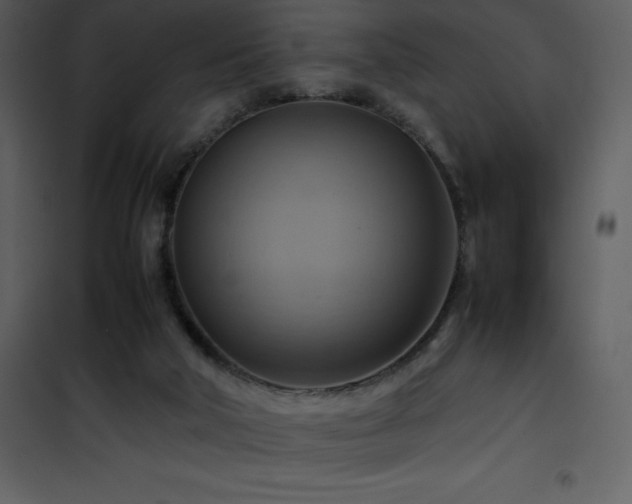 X0000102010018200807181239