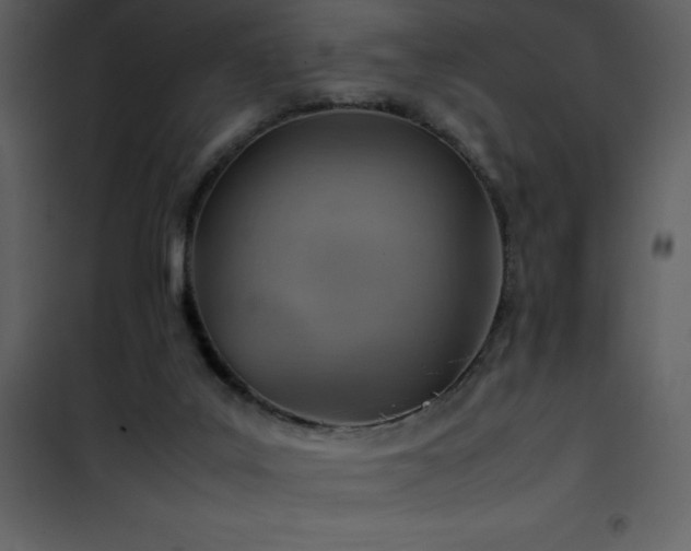 X0000102010019200807181239