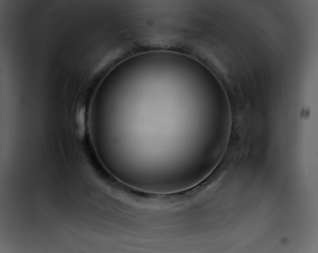 X0000102010020200807181239
