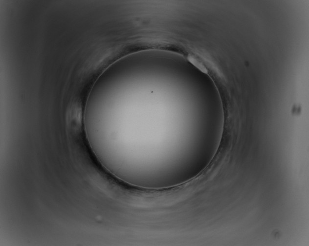 X0000102010021200807181239