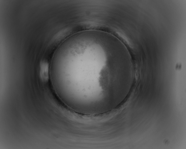 X0000102010022200807181239