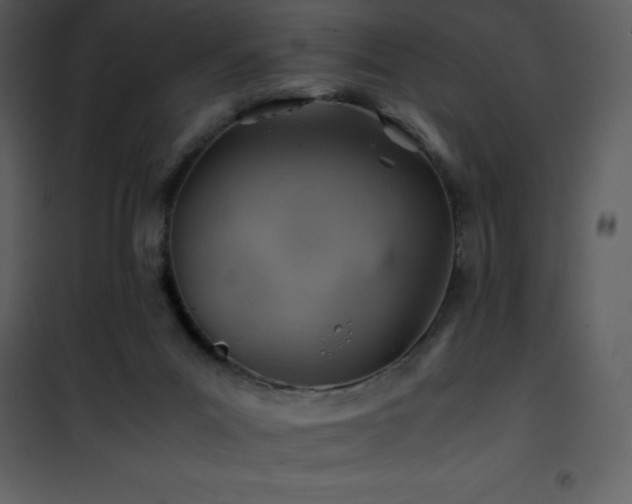 X0000102010023200807181239