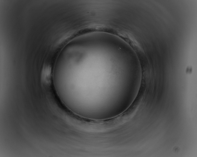 X0000102010024200807181239