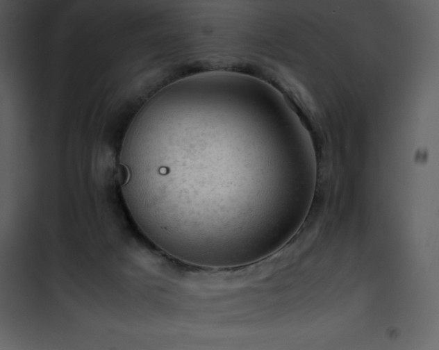 X0000102010025200807181239