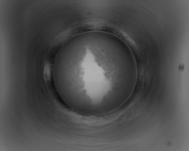 X0000102010026200807181239