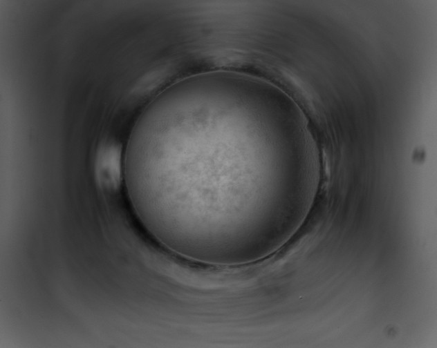 X0000102010028200807181239