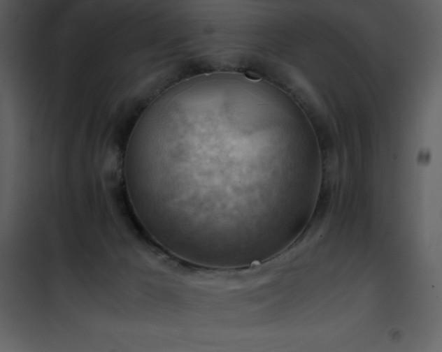 X0000102010029200807181239