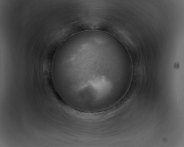 X0000102010030200807181239