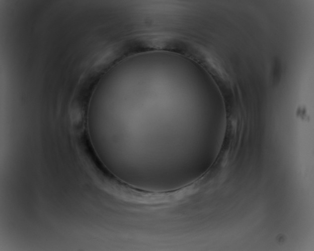 X0000102010031200807181239