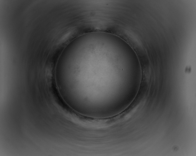 X0000102010032200807181239