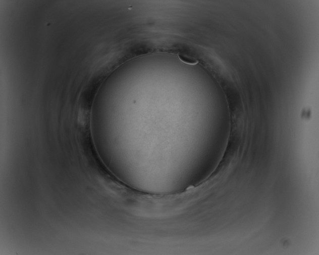 X0000102010033200807181239