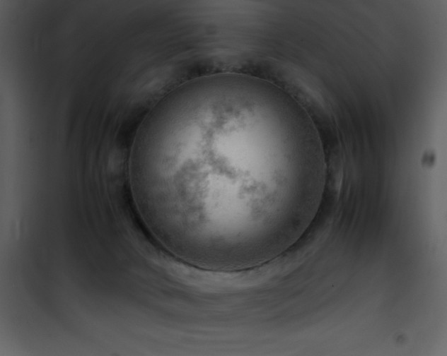 X0000102010034200807181239