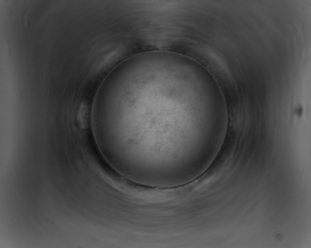 X0000102010036200807181239