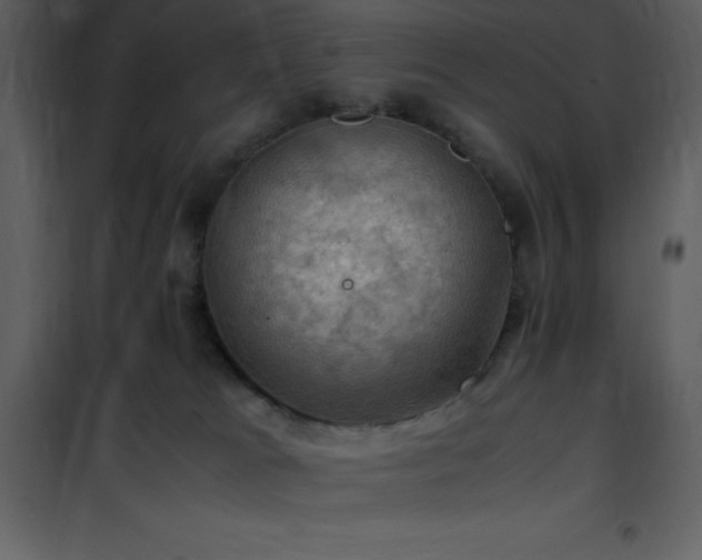 X0000102010037200807181239