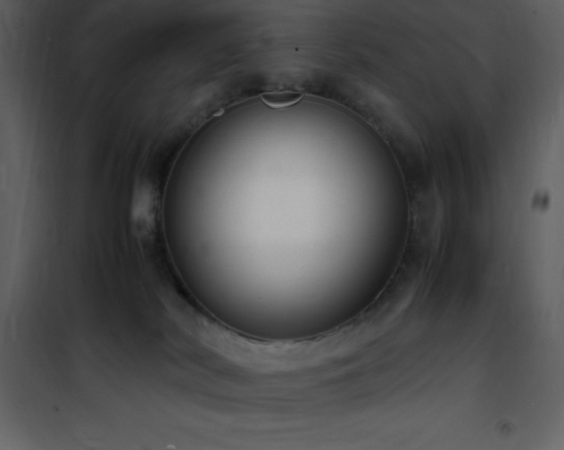 X0000102010038200807181239
