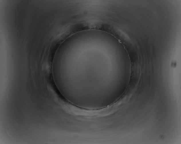 X0000102010039200807181239