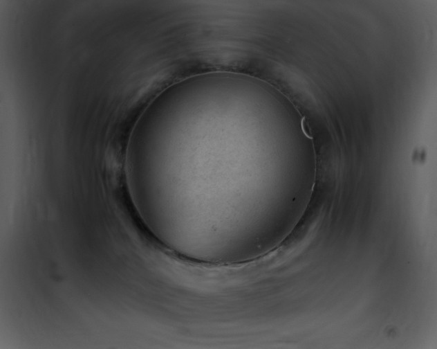X0000102010040200807181239