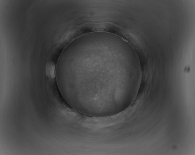 X0000102010041200807181239