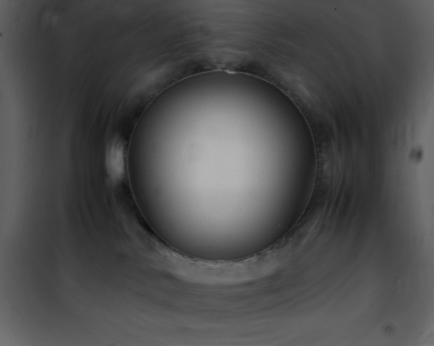 X0000102010042200807181239