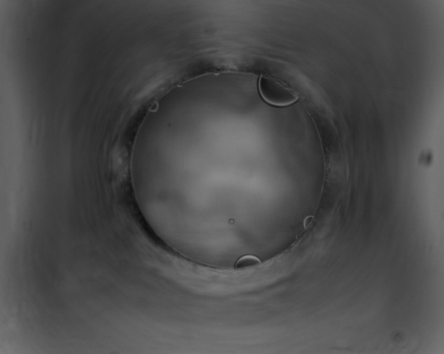X0000102010043200807181239