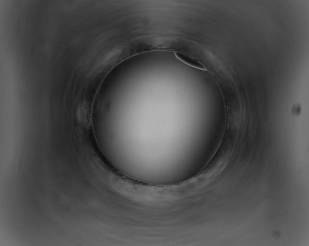 X0000102010044200807181238