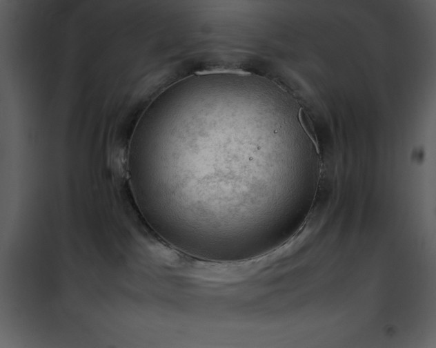 X0000102010045200807181238