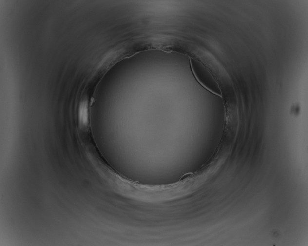 X0000102010046200807181238