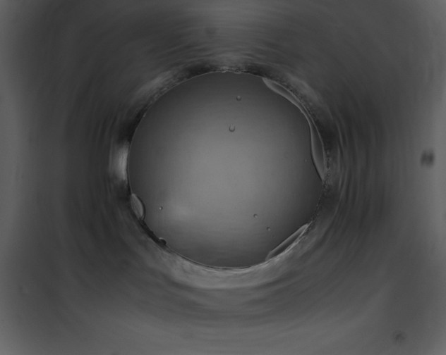 X0000102010047200807181238