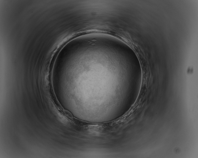 X0000102010050200807181238