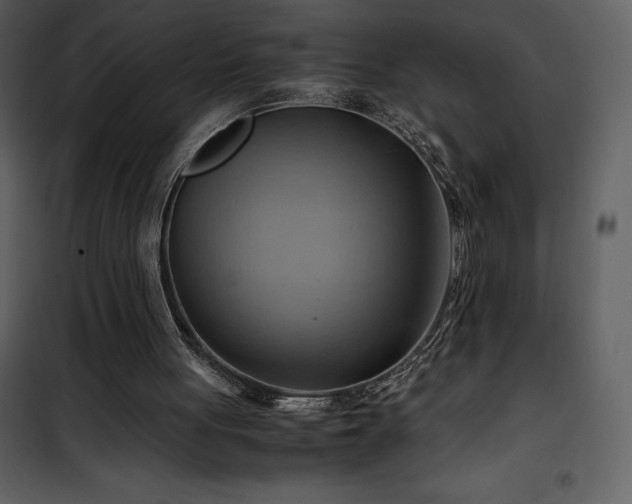 X0000102010051200807181238