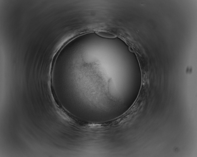 X0000102010052200807181238