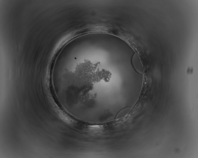 X0000102010053200807181238