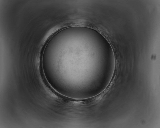 X0000102010054200807181238