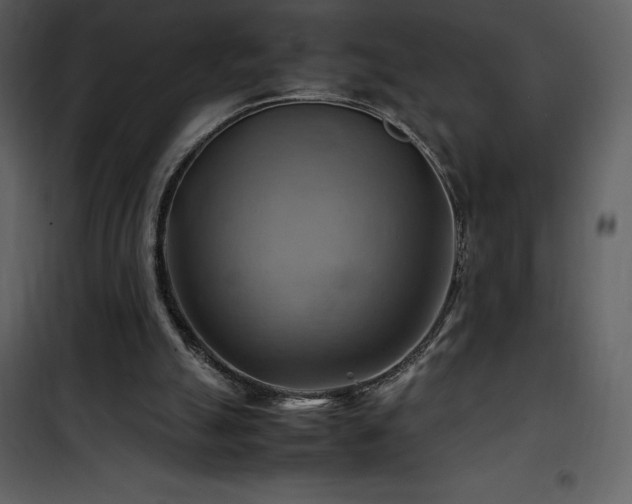 X0000102010055200807181238