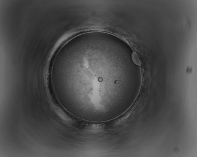 X0000102010056200807181238