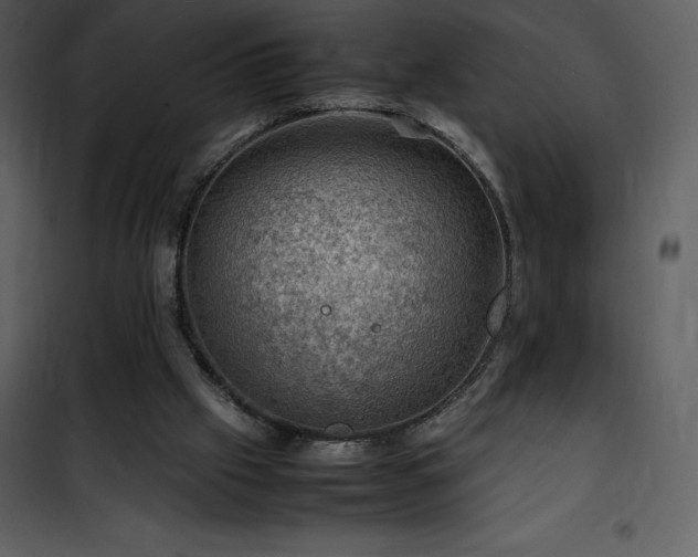 X0000102010057200807181238