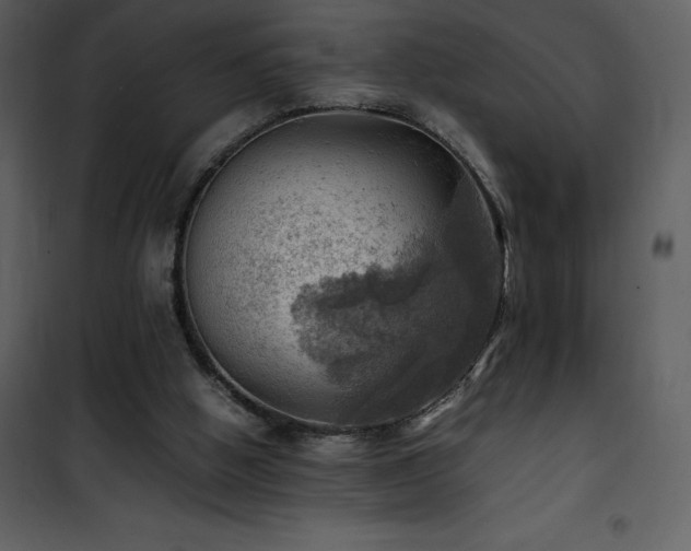 X0000102010058200807181238