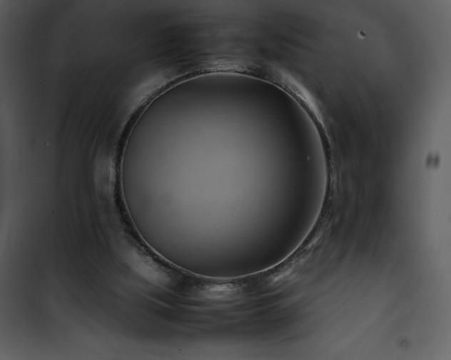 X0000102010059200807181238