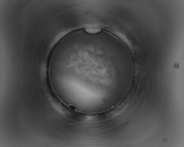 X0000102010060200807181238
