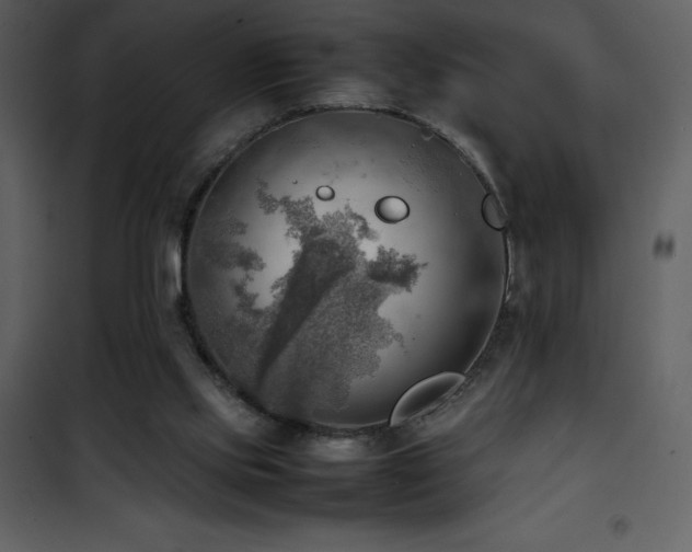 X0000102010061200807181238