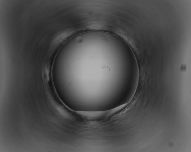 X0000102010062200807181238