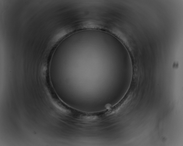X0000102010063200807181238