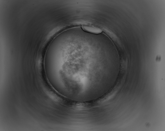 X0000102010064200807181238