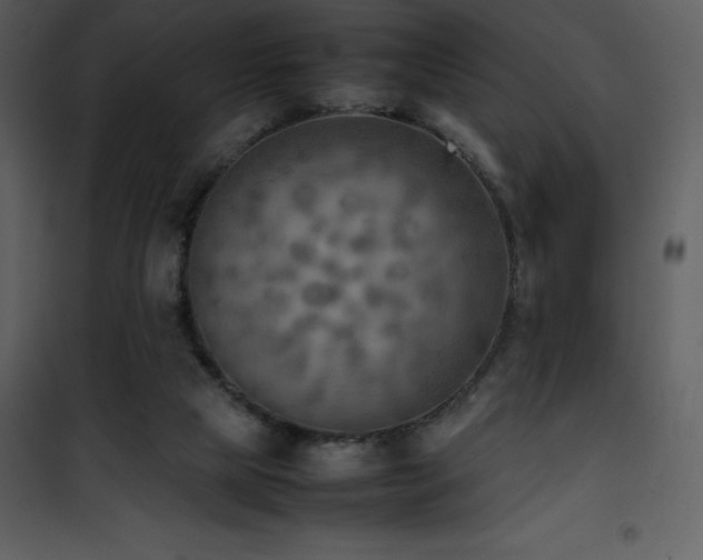 X0000102010065200807181238