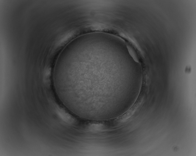 X0000102010066200807181238