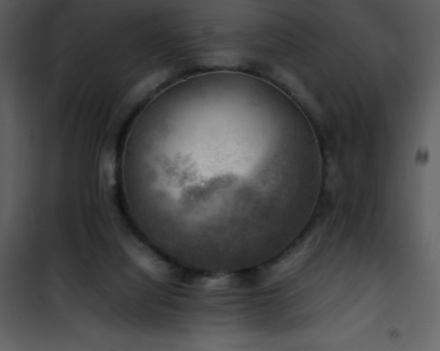 X0000102010068200807181238