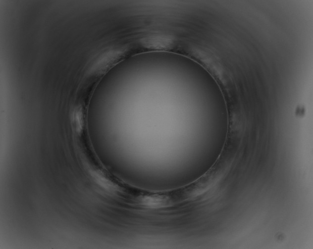 X0000102010069200807181238