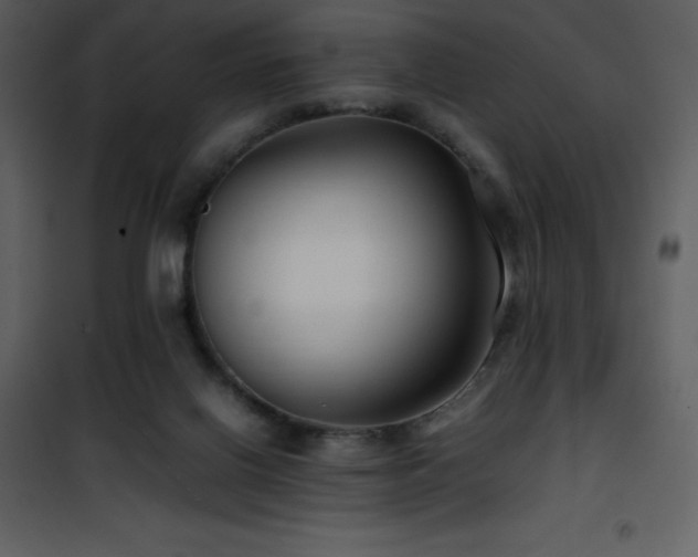 X0000102010070200807181238