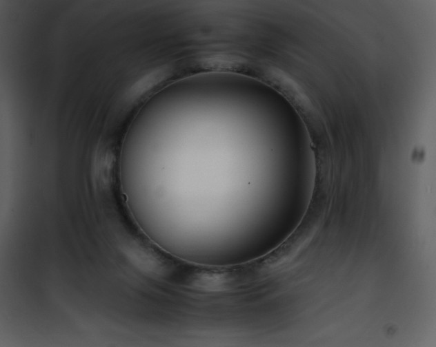 X0000102010071200807181238